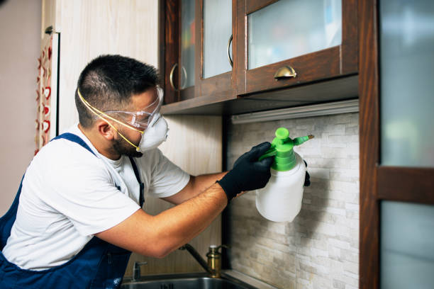 Best Pest Inspection Near Me  in Lebanon, IL