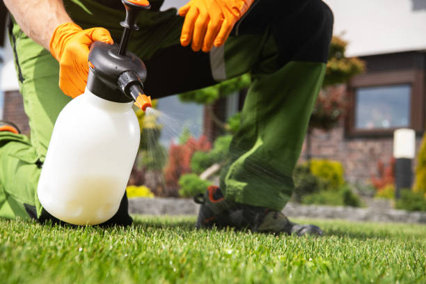 Best Mosquito Control Services  in Lebanon, IL