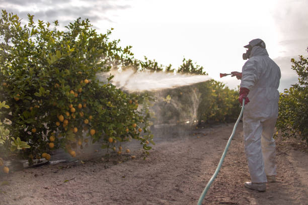 Best Cockroach Control Services  in Lebanon, IL