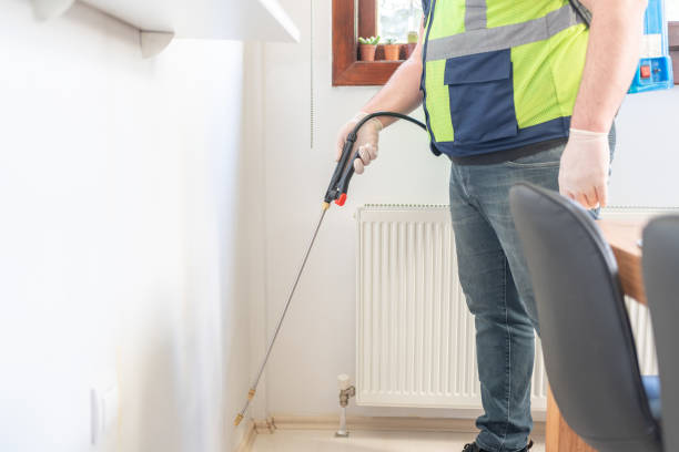 Flea Control Services in Lebanon, IL