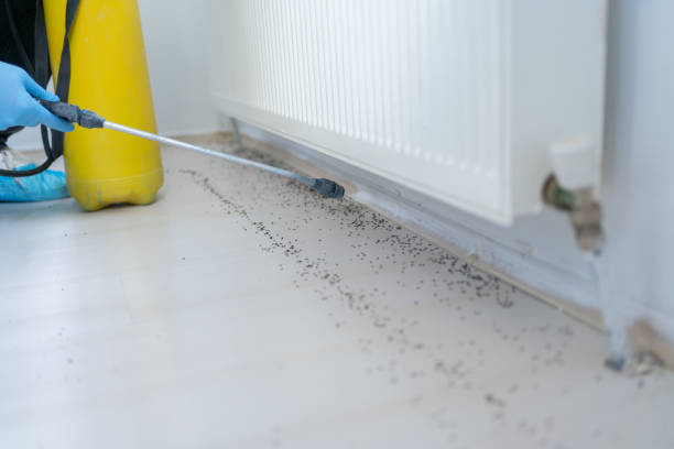 Best Best Pest Control Companies  in Lebanon, IL