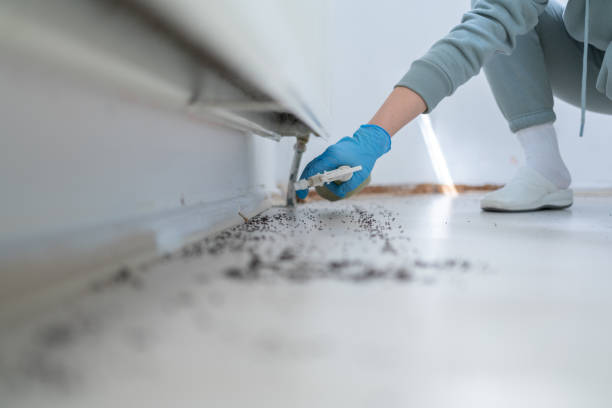 Best Wildlife Control Services  in Lebanon, IL